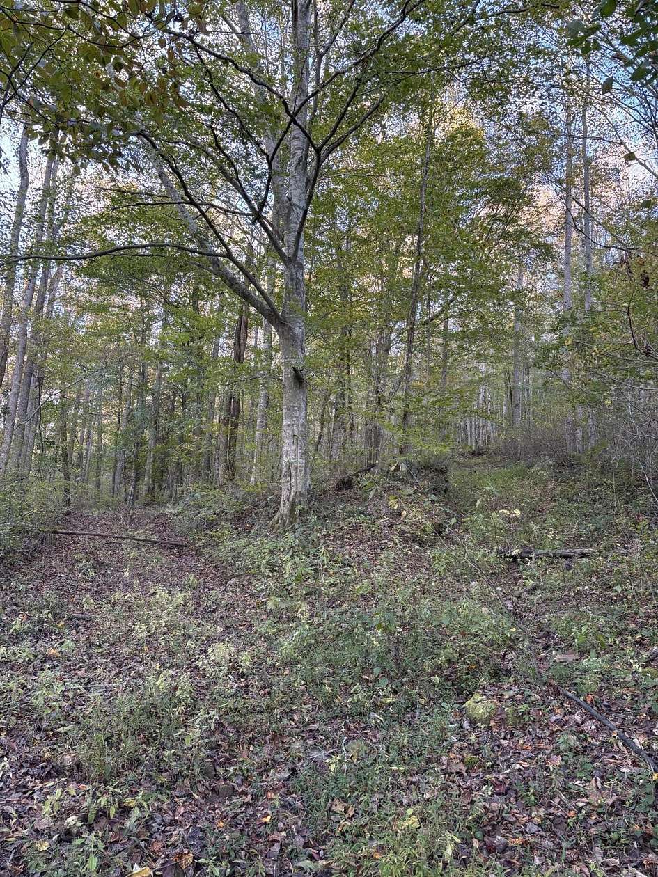 203 Acres of Recreational Land & Farm for Sale in Monterey, Tennessee