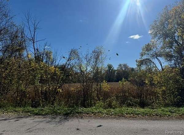 13.2 Acres of Land for Sale in Maybee, Michigan