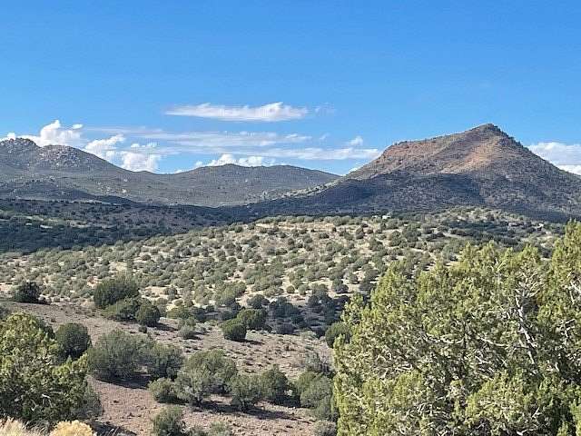 37.6 Acres of Recreational Land for Sale in Wikieup, Arizona