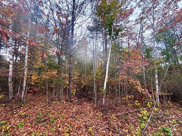 0.71 Acres of Land for Sale in Presque Isle, Michigan
