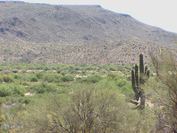 217 Acres of Land for Sale in Wikieup, Arizona