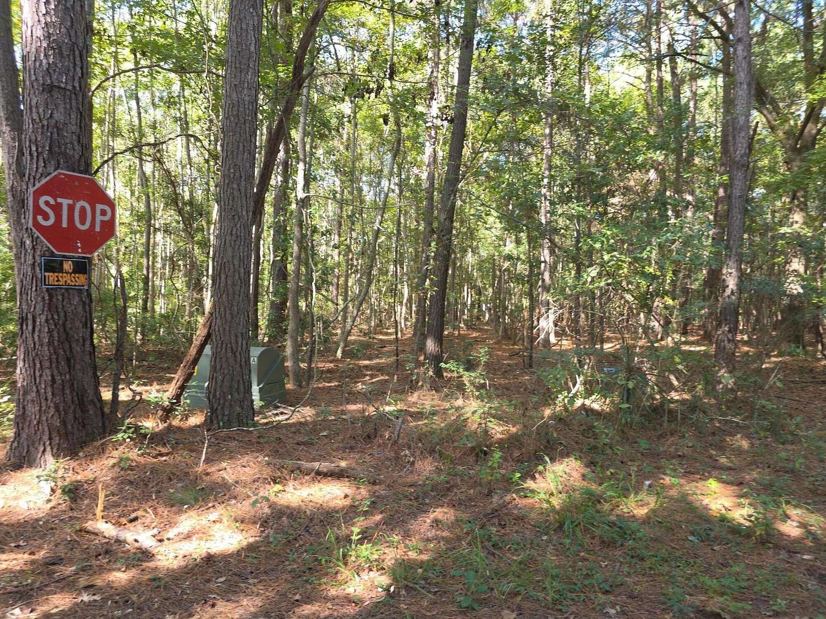 1.25 Acres of Residential Land for Sale in Johns Island, South Carolina