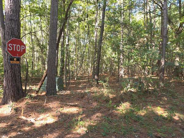 1.25 Acres of Residential Land for Sale in Johns Island, South Carolina