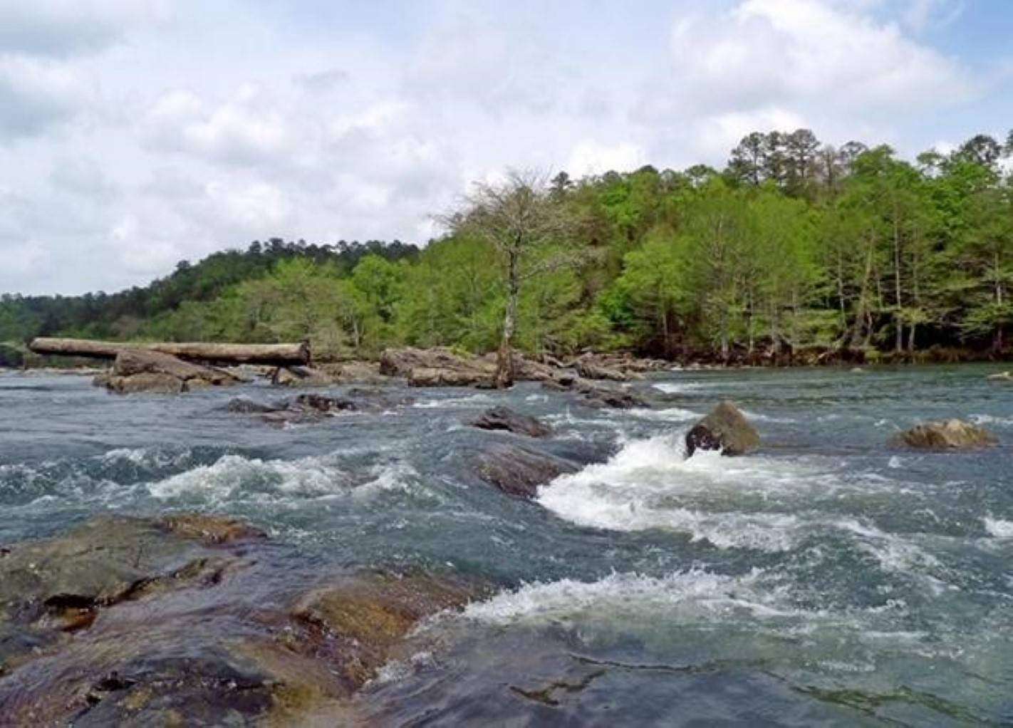 1 Acre of Land for Sale in Broken Bow, Oklahoma