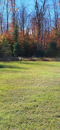 0.16 Acres of Commercial Land for Sale in Bois Blanc Township, Michigan
