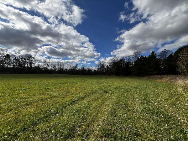 39.5 Acres of Recreational Land for Sale in Battle Creek, Michigan