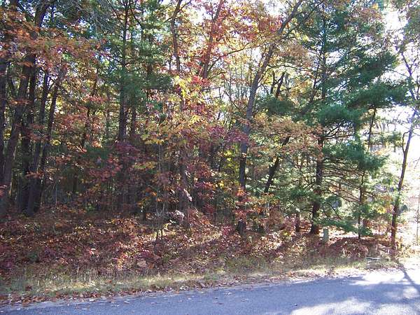 0.35 Acres of Residential Land for Sale in Houghton Lake, Michigan