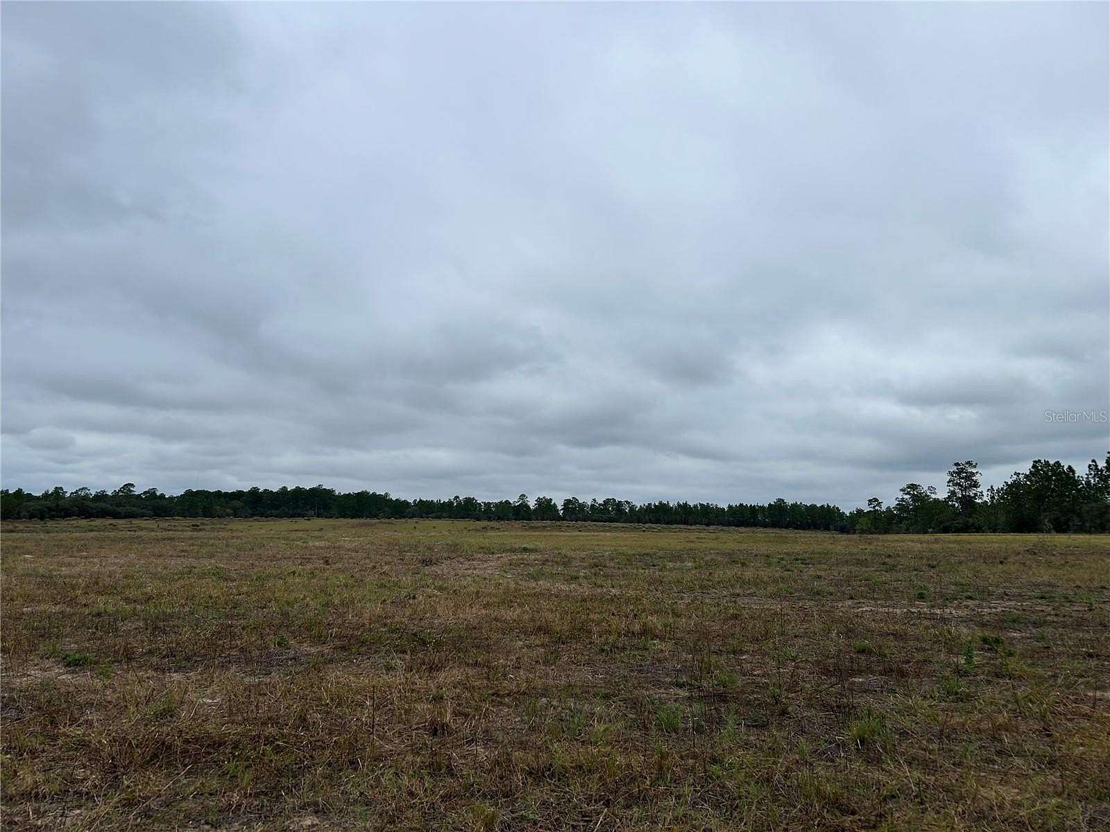 20 Acres of Land for Sale in Morriston, Florida