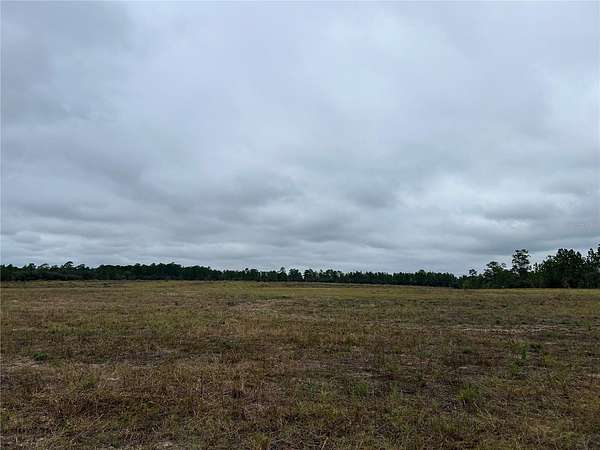20 Acres of Land for Sale in Morriston, Florida