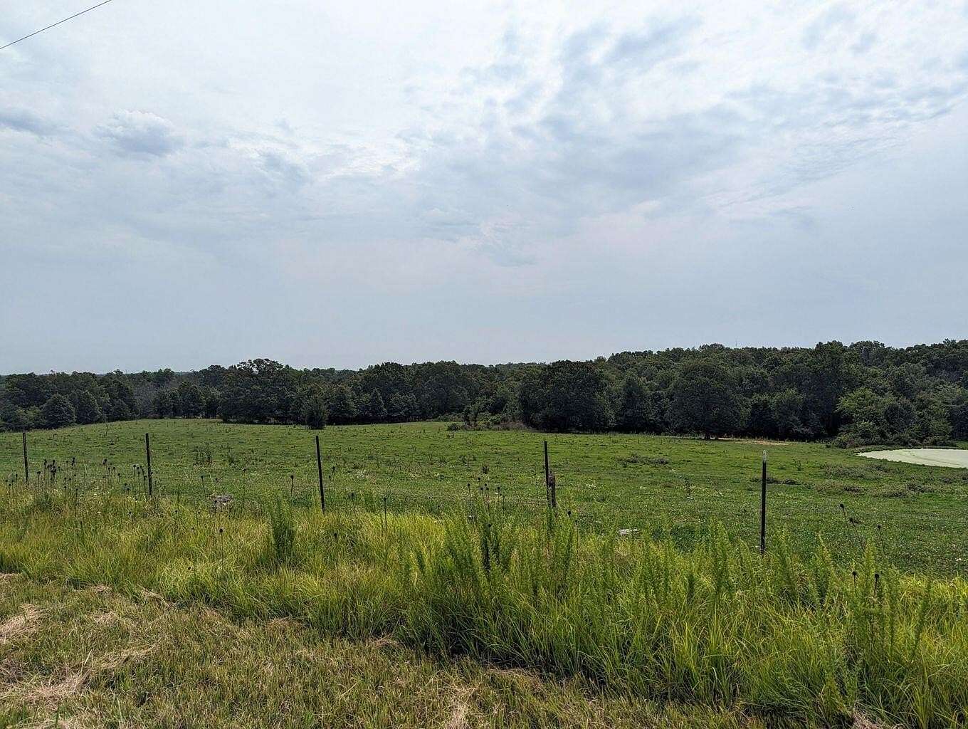 27 Acres of Agricultural Land for Sale in Seymour, Missouri