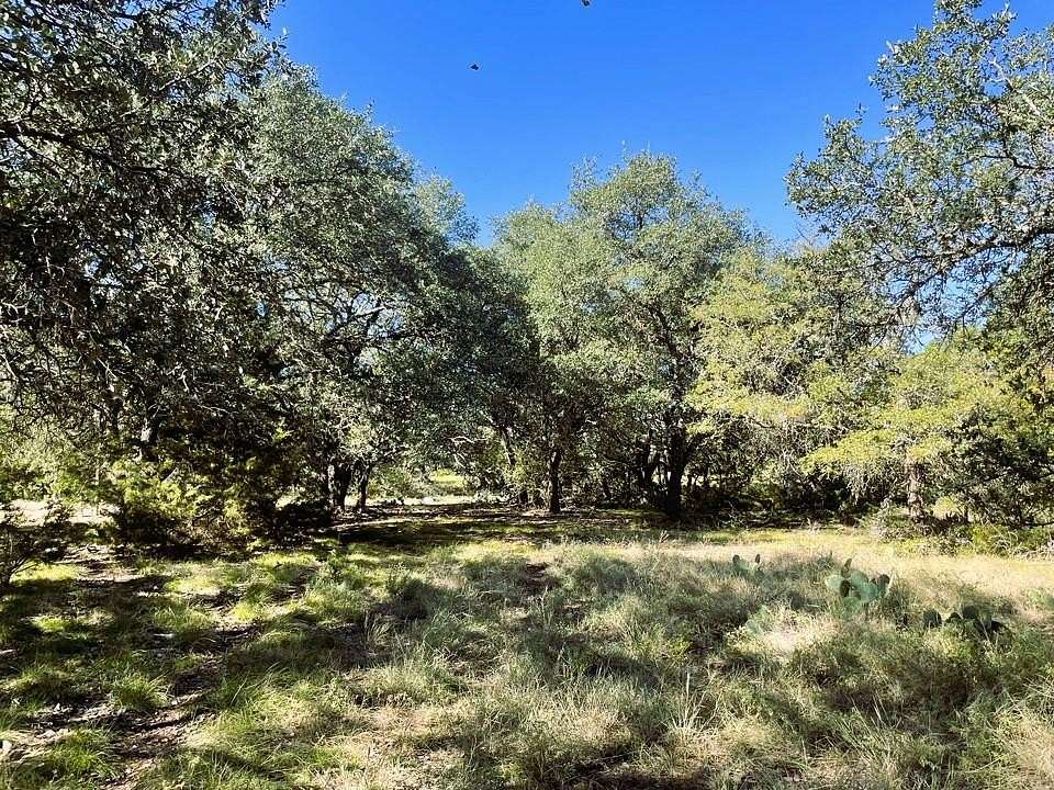 90 Acres of Land for Sale in Mullin, Texas