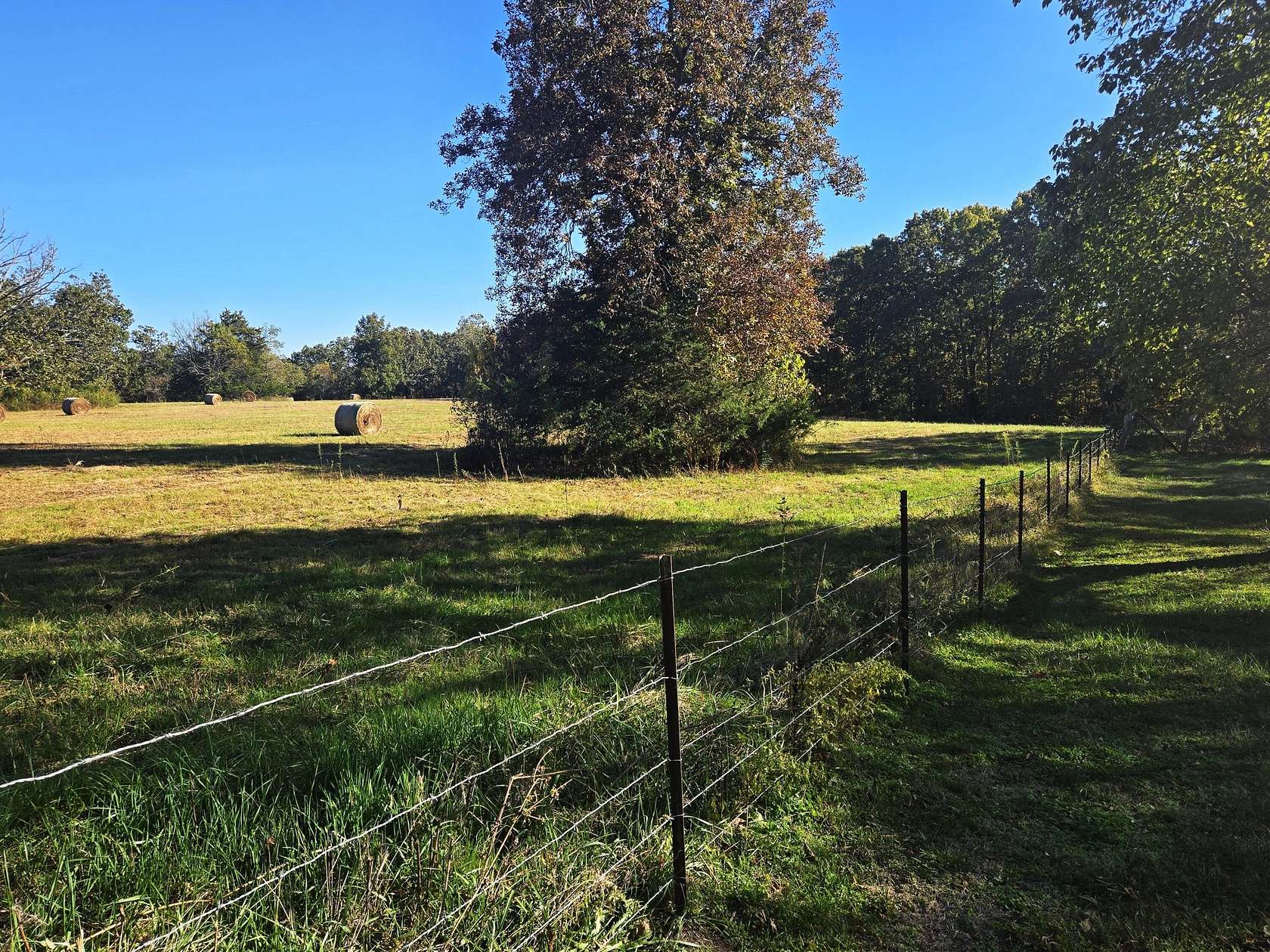 21.3 Acres of Agricultural Land with Home for Sale in Birch Tree, Missouri