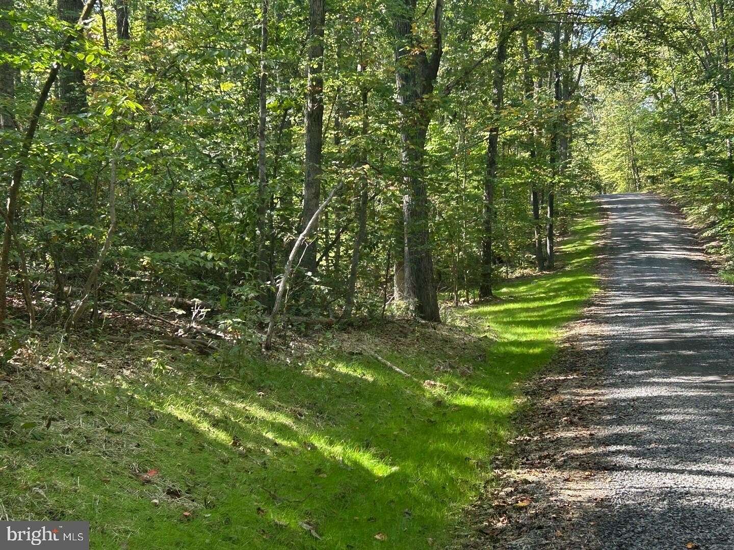 30 Acres of Recreational Land for Sale in Elkwood, Virginia