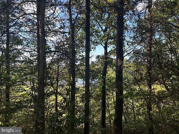 30.5 Acres of Recreational Land for Sale in Elkwood, Virginia