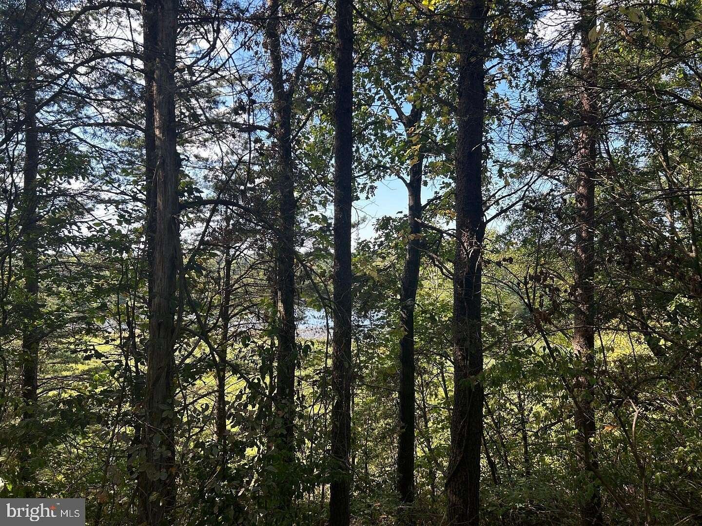 10 Acres of Residential Land for Sale in Elkwood, Virginia