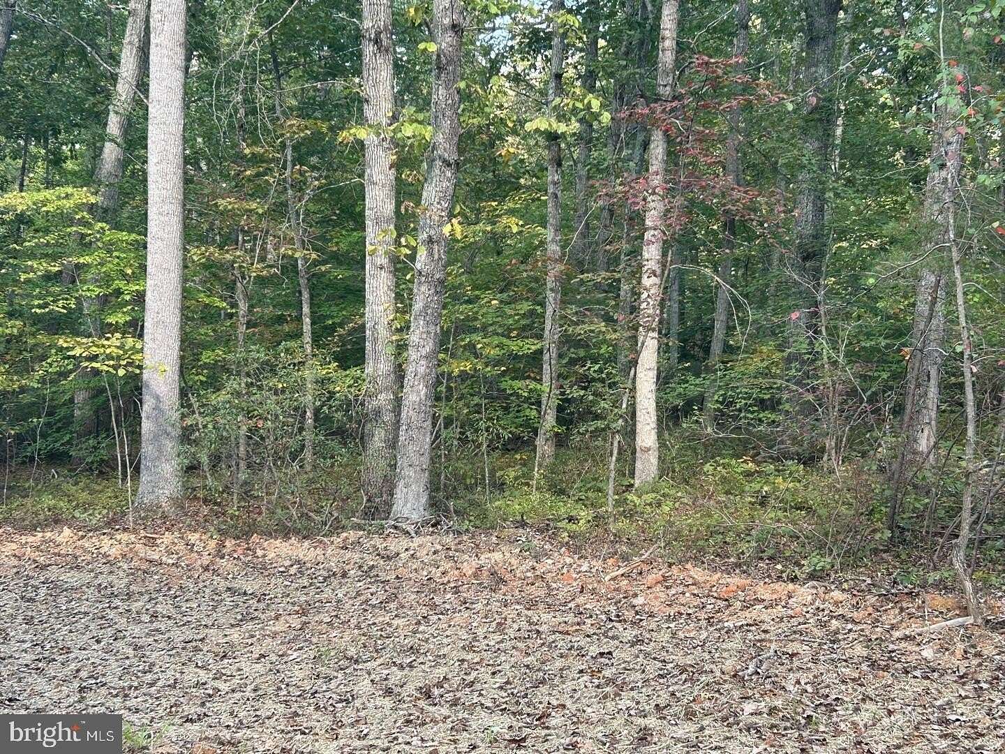 30 Acres of Recreational Land for Sale in Elkwood, Virginia