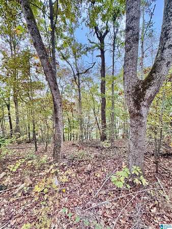 1 Acre of Residential Land for Sale in Lincoln, Alabama