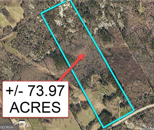 74 Acres of Land for Sale in Covington, Georgia