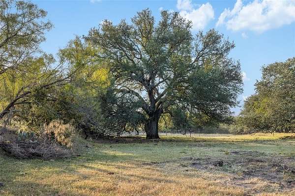 24.1 Acres of Land for Sale in Rochelle, Texas