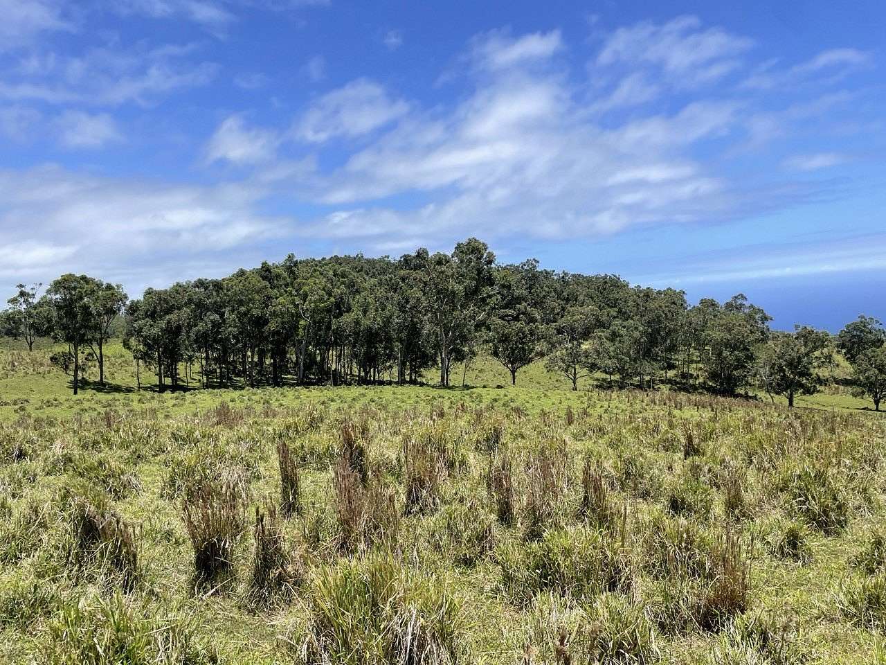 56.6 Acres of Recreational Land & Farm for Sale in Nāʻālehu, Hawaii