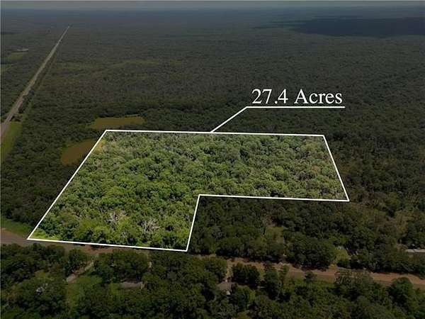 27.4 Acres of Recreational Land for Sale in Deville, Louisiana