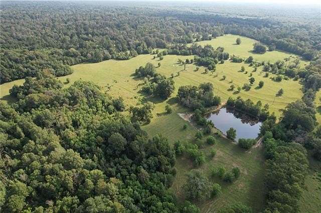 40 Acres of Recreational Land for Sale in Deville, Louisiana