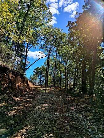 60.6 Acres of Recreational & Residential Land for Sale in Amherst, Virginia