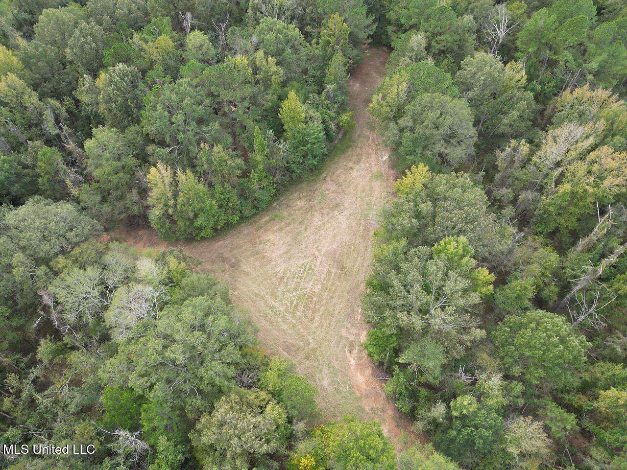 98 Acres of Recreational Land & Farm for Sale in Pattison, Mississippi