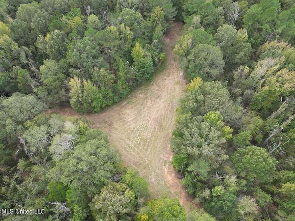 98 Acres of Recreational Land & Farm for Sale in Pattison, Mississippi