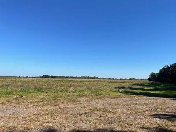 40 Acres of Land for Sale in Abbeville, Louisiana