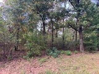 0.23 Acres of Land for Sale in Log Cabin, Texas