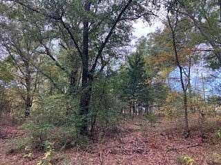 0.12 Acres of Residential Land for Sale in Trinidad, Texas