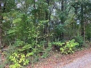 0.12 Acres of Residential Land for Sale in Trinidad, Texas