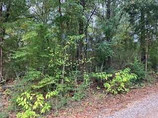0.12 Acres of Residential Land for Sale in Trinidad, Texas