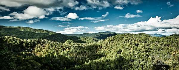 4.24 Acres of Residential Land with Home for Sale in Marshall, North Carolina