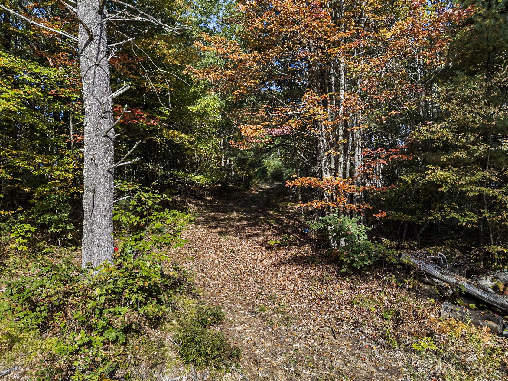 25 Acres of Land for Sale in Wells, Maine