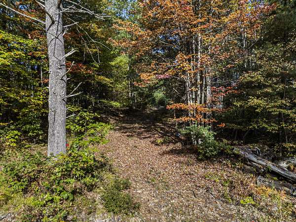 25 Acres of Land for Sale in Wells, Maine