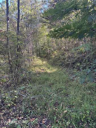 5 Acres of Land for Sale in Reliance, Tennessee