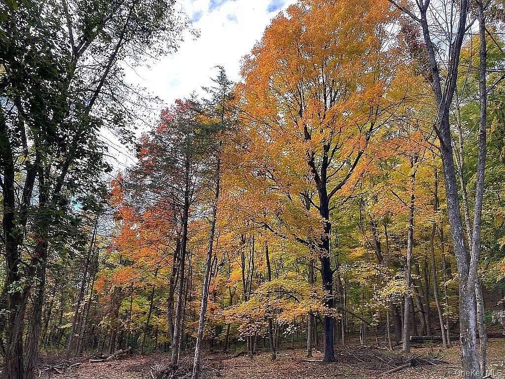 11.4 Acres of Land for Sale in Hudson, New York