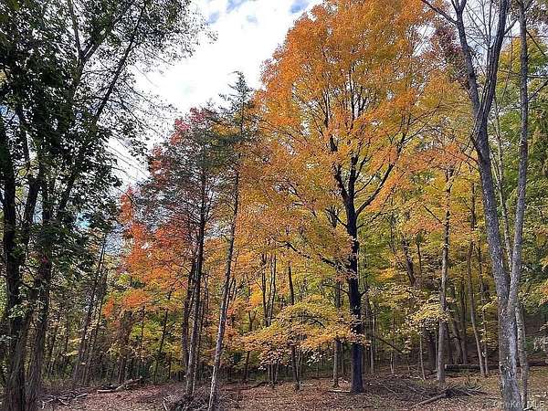 11.4 Acres of Land for Sale in Hudson, New York
