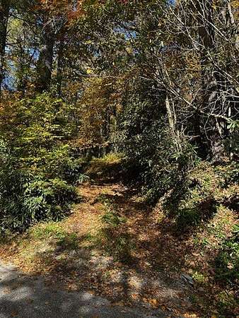 0.38 Acres of Land for Sale in Highlands, North Carolina