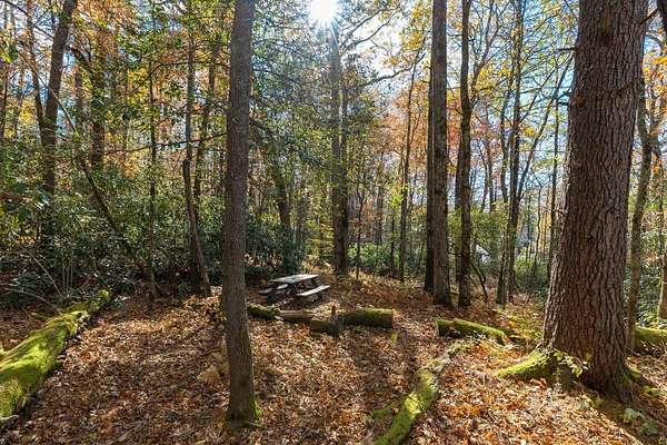 0.81 Acres of Residential Land for Sale in Cashiers, North Carolina