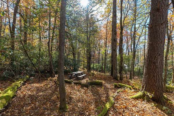 0.81 Acres of Residential Land for Sale in Cashiers, North Carolina