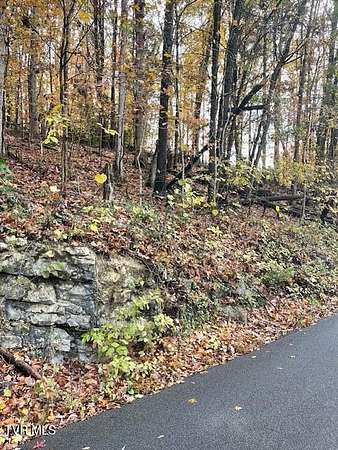 0.99 Acres of Residential Land for Sale in Church Hill, Tennessee