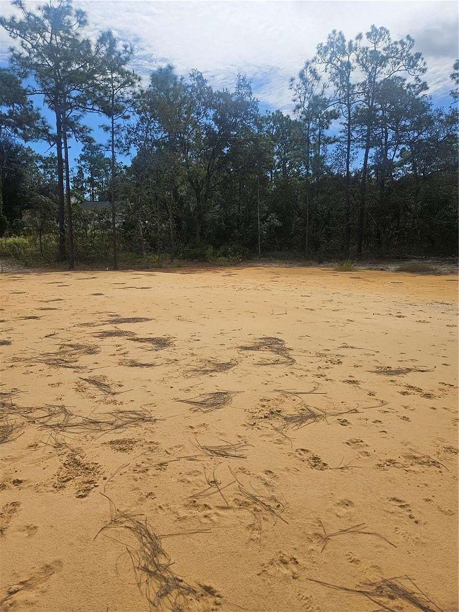 1.16 Acres of Residential Land for Sale in Webster, Florida