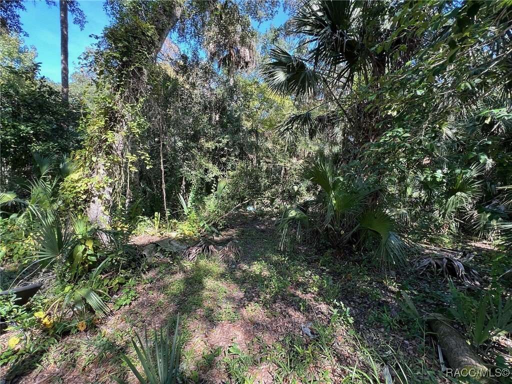0.11 Acres of Residential Land for Sale in Hernando, Florida