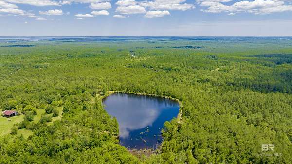 40.2 Acres of Land for Sale in Seminole, Alabama