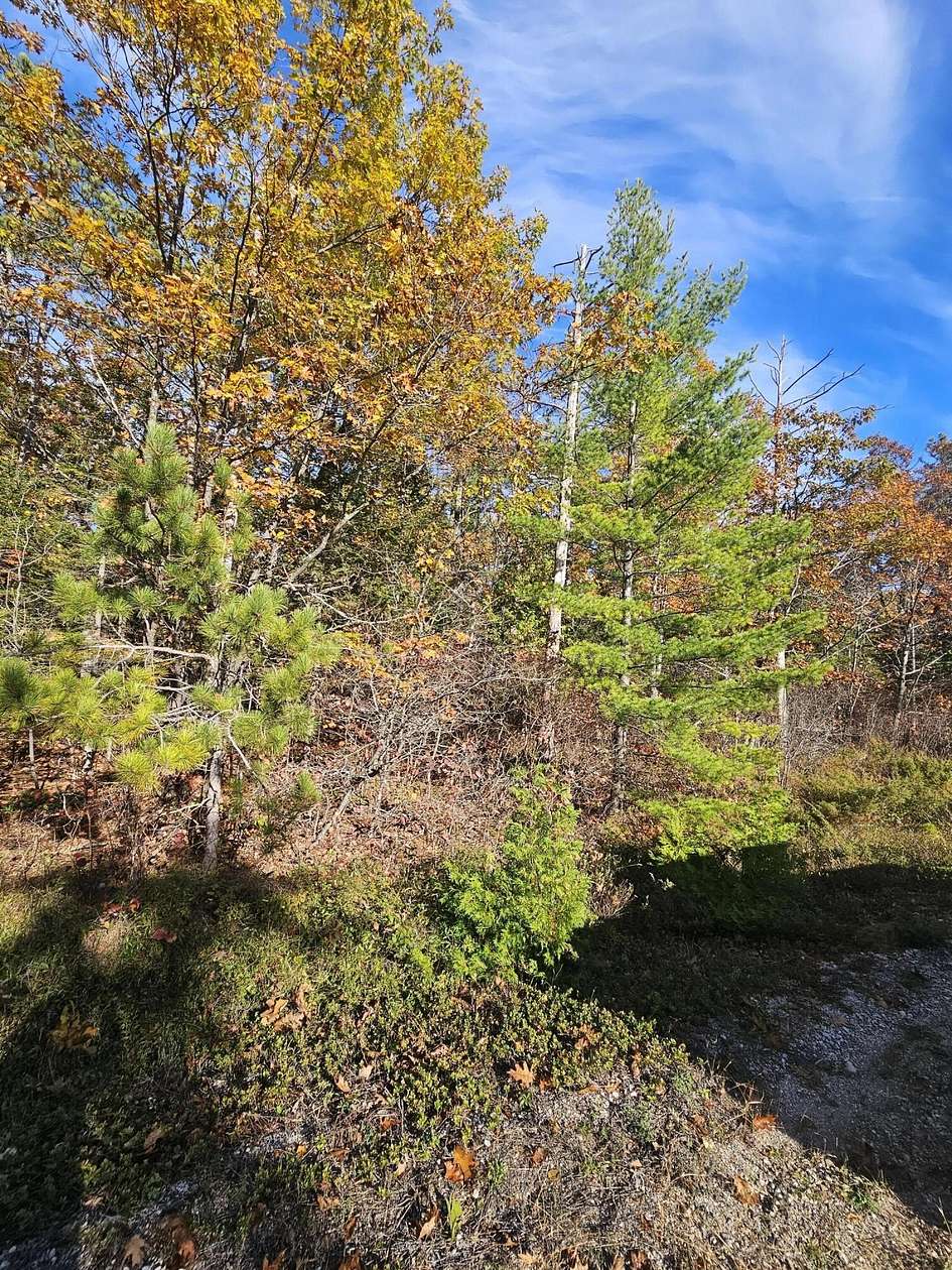 0.38 Acres of Residential Land for Sale in Presque Isle, Michigan
