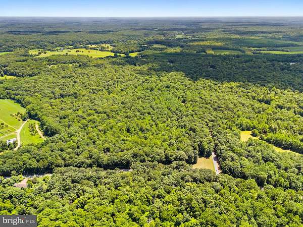 30 Acres of Recreational Land for Sale in Elkwood, Virginia