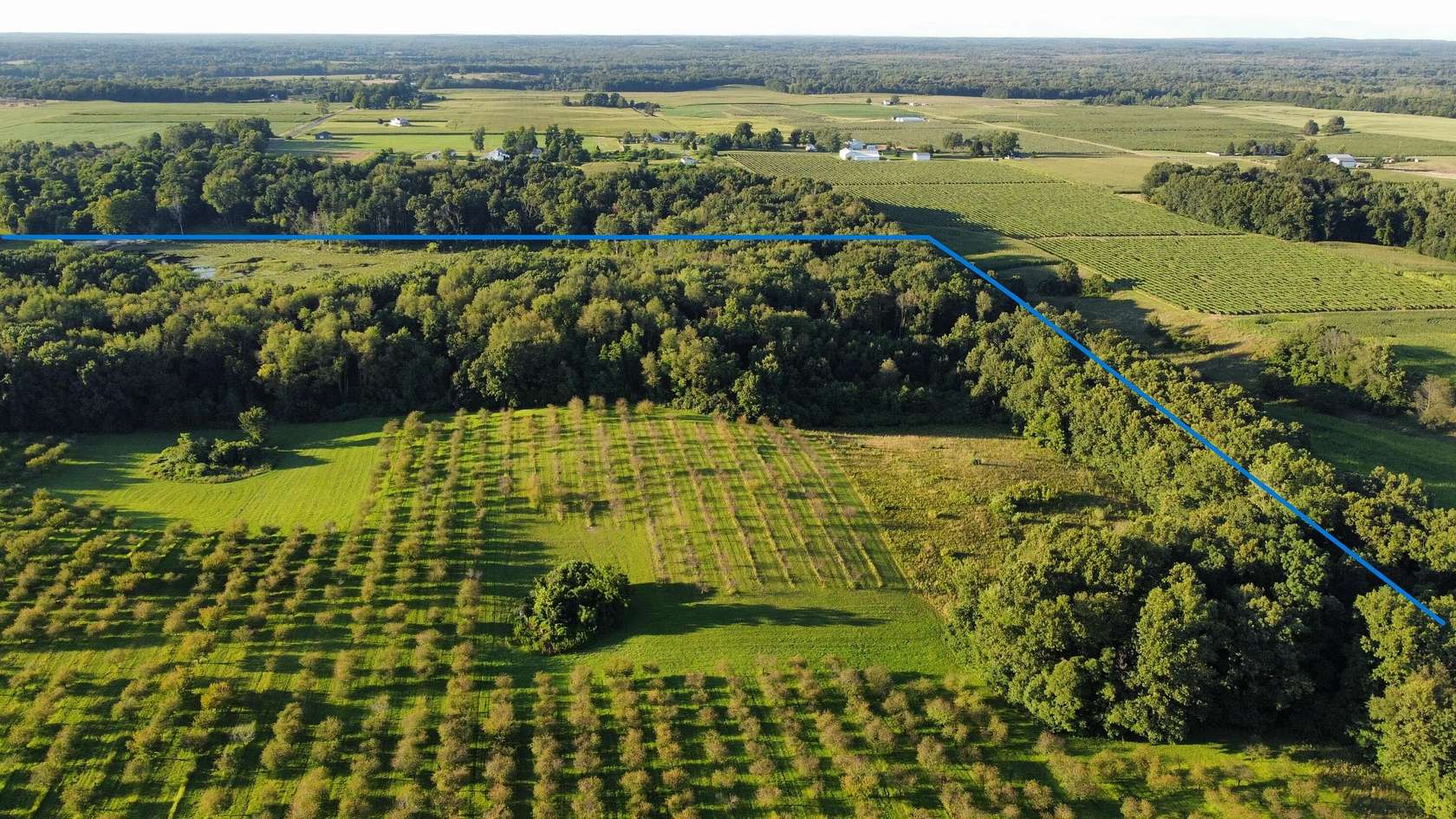 30.5 Acres of Land for Sale in Paw Paw, Michigan